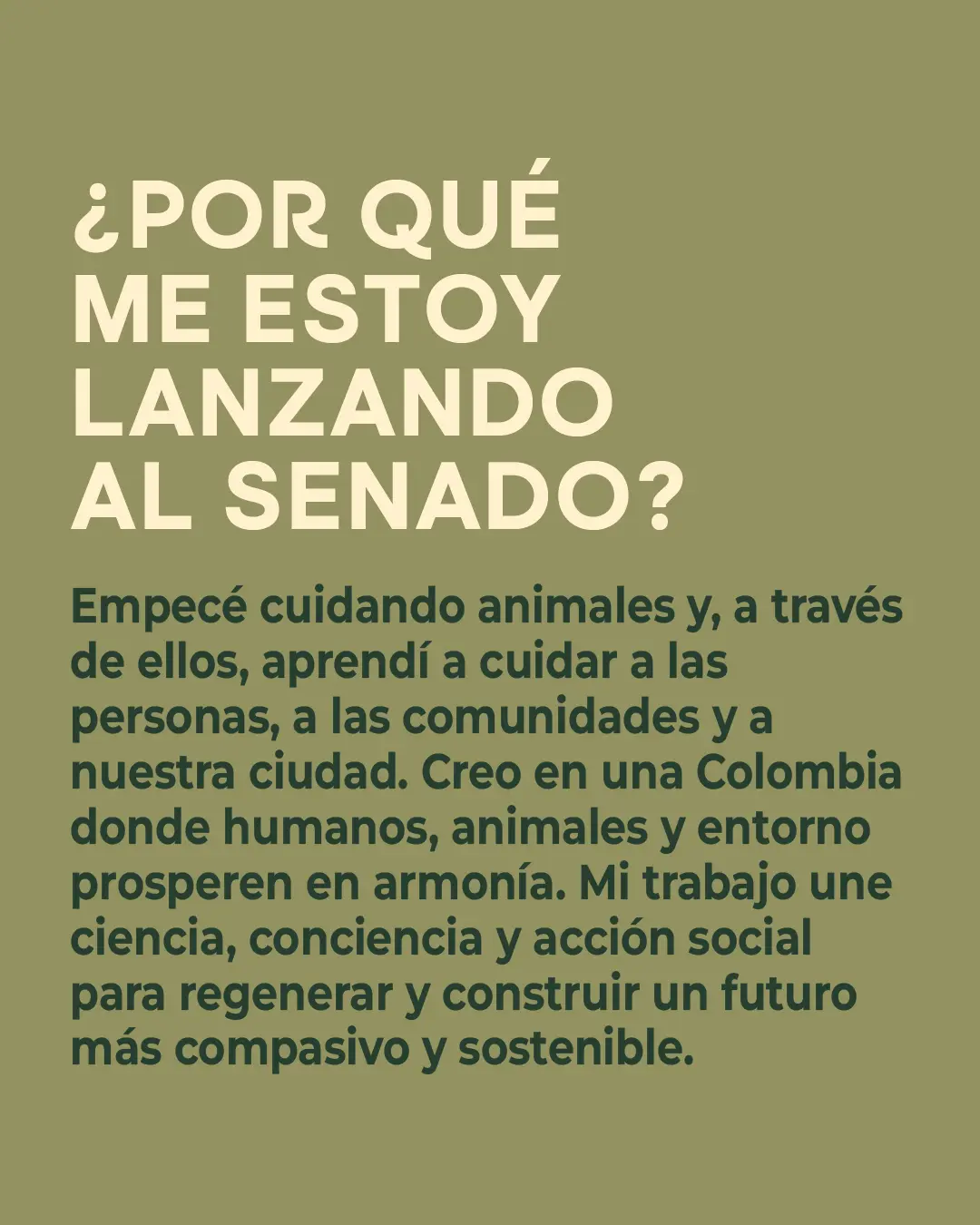 V1 LANZAMIENTO CAMPAÑA 2-100